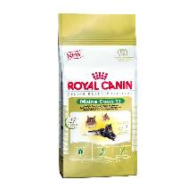 Royal Canin Maine Coon 31 karma dla kotów