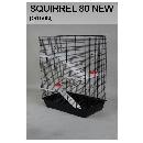 squirel_80.JPG