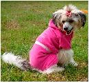 fionka-pl_grandefinale_dres_d01A.jpg
