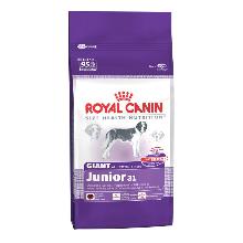Royal Canin Giant Junior karma dla psów mlodych
