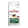 Royal Canin Outdoor +7 karma dla kotów starszych