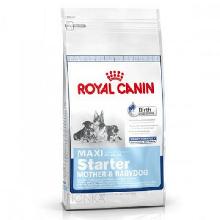 ROYAL CANIN Maxi Starter Mother & Babydog