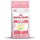 Royal Canin Kitten 36 sucha karma dla kociąt