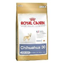 Royal Canin Chihuahua Junior 30