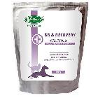 VETFOOD BB & Recovery Balance 20g/100g/800g saszetka
