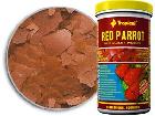 TROPICAL red parrot