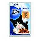 felix_fantastic_3.JPG