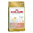 Royal Canin Labrador Retriever Junior 33