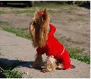 fionka-pl_grandefinale_dres_d07A.jpg