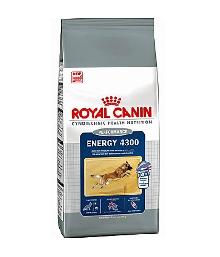 Royal Canin Energy 4300 karma dla psów aktywnych