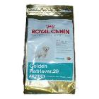 Royal Canin Golden Retriever Junior 29