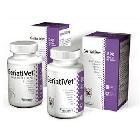 VETEXPERT GeriatiVet 350mg preparat dla psów starszych do 15kg wagi