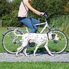 TRIXIE smycz do joggingu, dogtrekkingu lub jazdy na rowerze