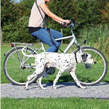 TRIXIE smycz do joggingu, dogtrekkingu lub jazdy na rowerze