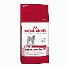 ROYAL CANIN Medium Dermacomfort 24 karma dla psów o wrażliwej skórze