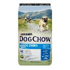 Purina DOG CHOW Puppy Junior Large Breed INDYK karma dla szczeniąt dużych ras 2.5kg/14kg