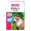 be_kitt_prot2.jpg