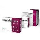 VETEXPERT Hepatiale Forte Large Breed 550mg preparat wspomagający funkcjonowanie wątroby