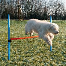 TRIXIE Agility Płotek - przeszkoda