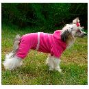 fionka-pl_grandefinale_dres_d09A.jpg
