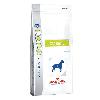 ROYAL CANIN Vet Dog Diet Diabetic DS37 opak. 1.5kg/12kg