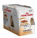 ROYAL CANIN Intense Beauty w galaretce karma dla kota saszetka 12x85g