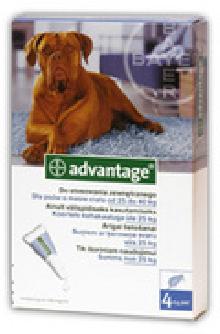 Bayer Advantage 400 dla psów, roztwór do nakrapiania na pchły