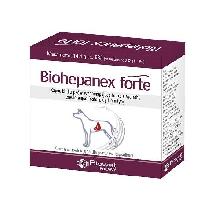 BIOWET Biohepanex Forte kapsułki dla psów wspomagające funkcje wątroby 45kaps.