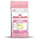 Royal Canin Babycat 34 sucha karma dla kociąt
