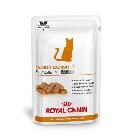 ROYAL CANIN Vet Diet Cat Senior Consult Stage 1 12x100g saszetka